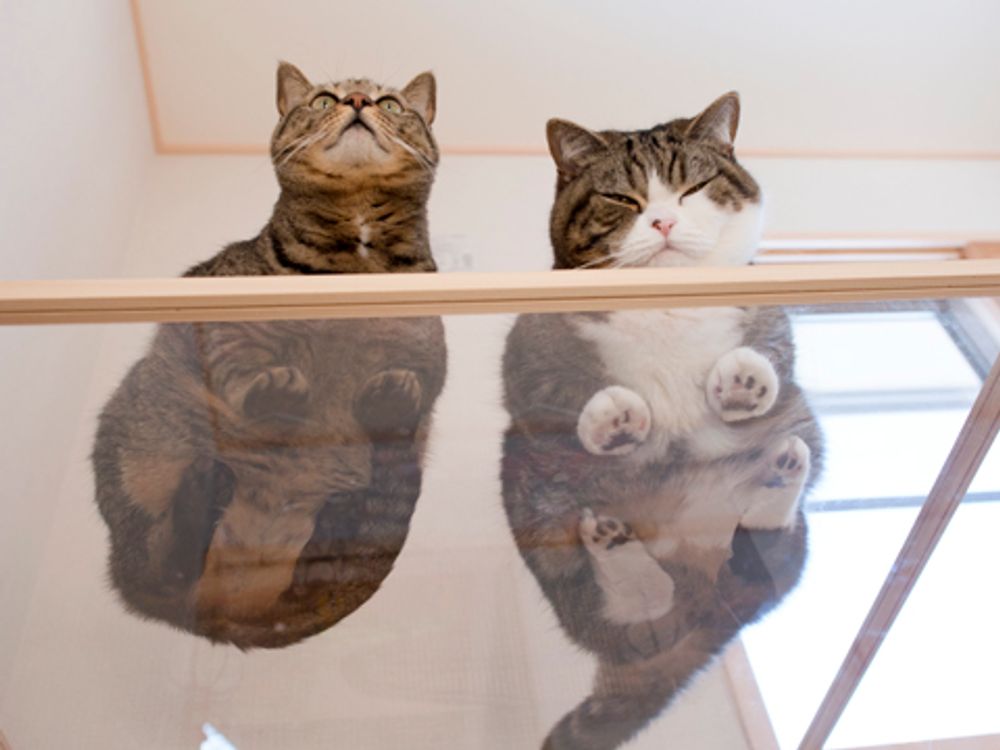 Automatic Cat Toy – Interactive Smart LED Laser